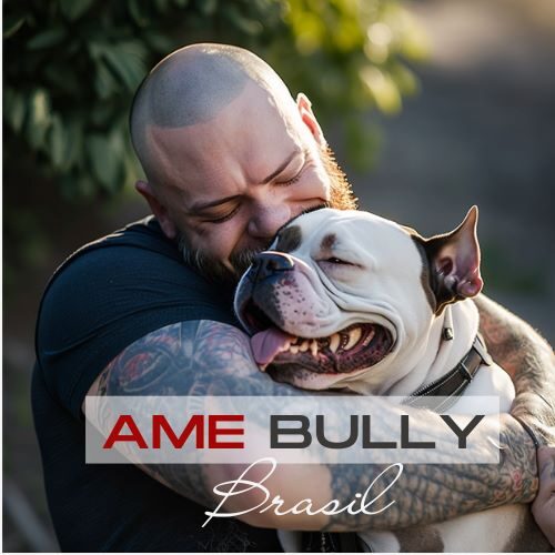 Conheça o american bully, um cão forte, companheiro e gentil